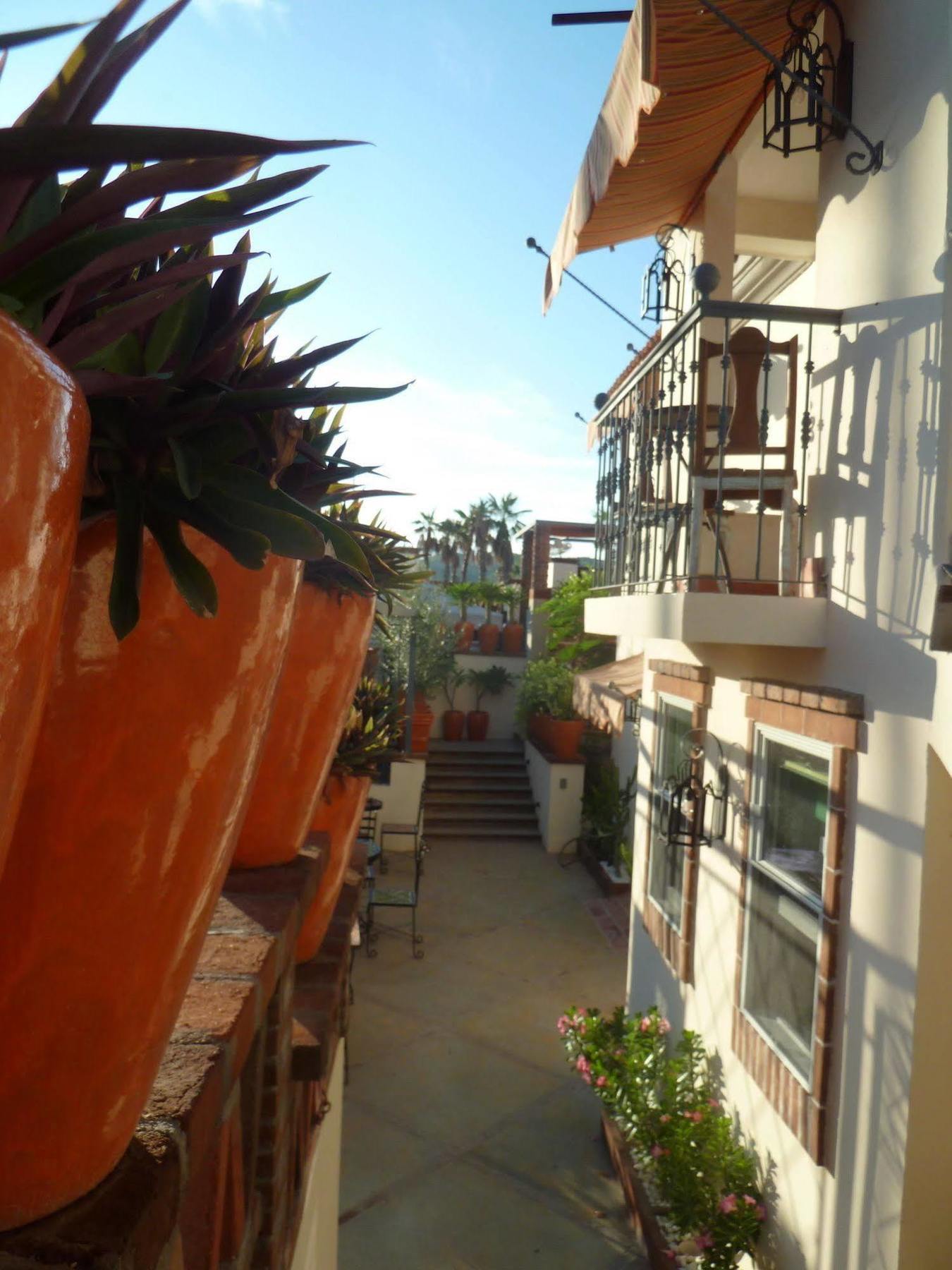 The Suites By Villa Valentina San José del Cabo Extérieur photo